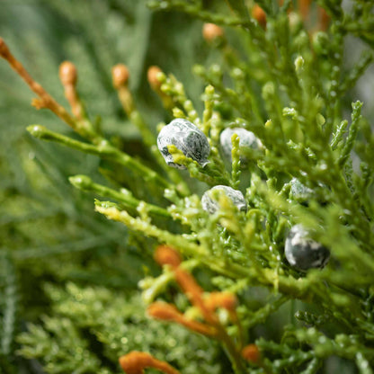 MIXED PINE & JUNIPER WREATH