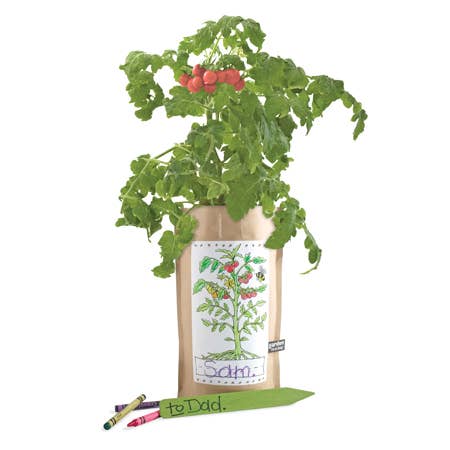 Kids Garden in a Bag | Tomato