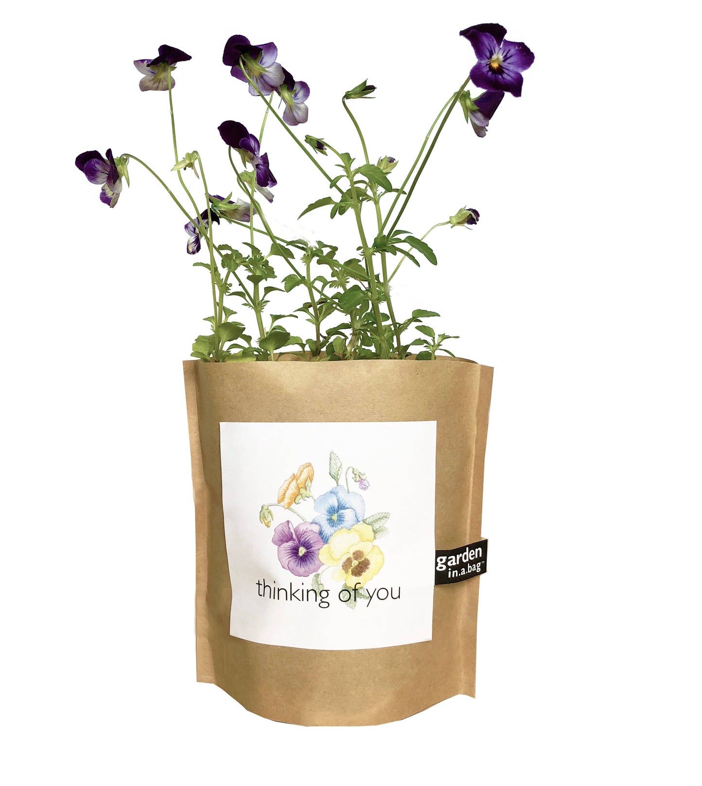 Garden in a Bag | Thinking Of You | Valentine's Gift Idea