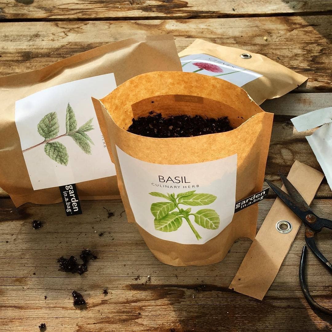 Garden in a Bag | Basil