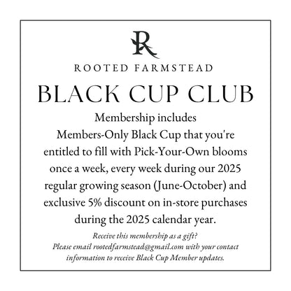 2025 Black Cup Club