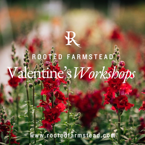 Galentine's Day Centerpiece Workshop at Boal City
